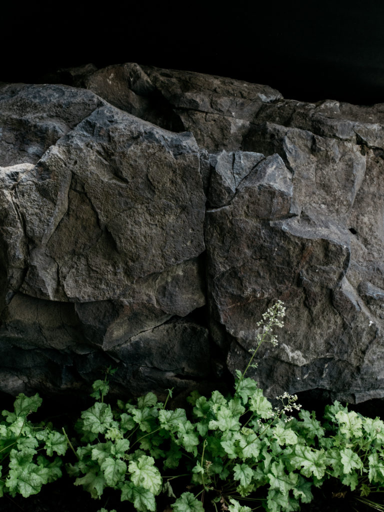 17th Ave Project: Dwell Magazine Feature — Spokane hissong