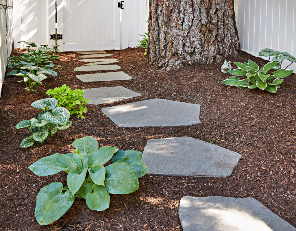 Cannon Colonial — Walking path