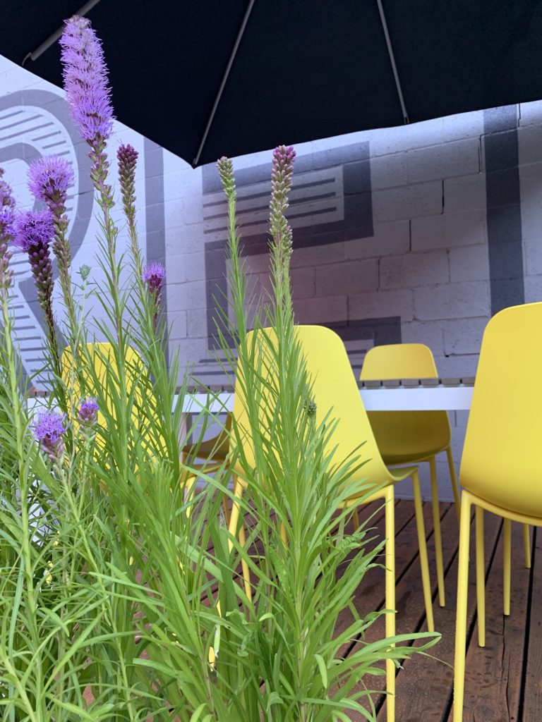 HDG Architecture Downtown Courtyard — landscape design and construction by Blend Outdoor