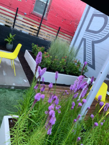 HDG Architecture Downtown Courtyard — landscape design and construction by Blend Outdoor