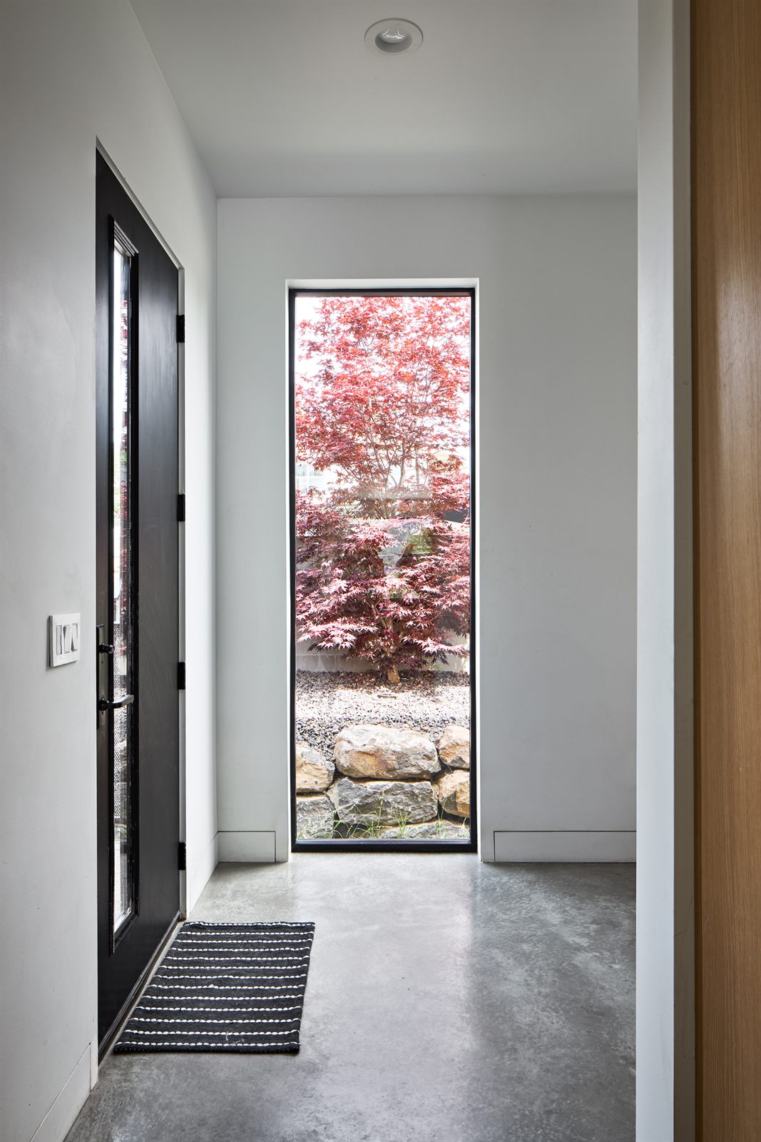 Entry hall window framing a red Japanese maple